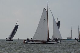 Finale wedstrijd IFKS Skûtsje zeilen bij de Lemmer druk bezocht