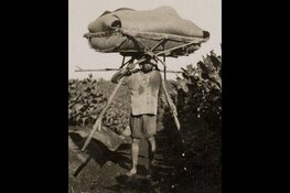 Lezing Louis Bracco Gartner