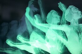 Expositie Jelle Mastenbroek in Museum Joure