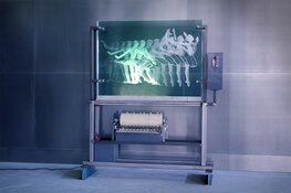 Expositie Jelle Mastenbroek in Museum Joure