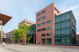 Eis OM: hogere straf voor met veel drank op veroorzaken verkeersongeval in Friesland