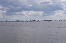 Zeilwedstrijden Sneekweek op het Sneekermeer in beeld