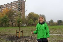 Landschapsbeheer Friesland en FMF zetten in op 92.000 bomen met Beammen foar Elkenien