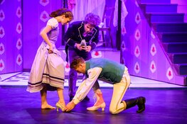 Assepoester De Musical in Posthuis Theater, Heerenveen