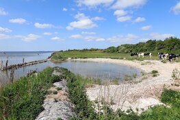 Lezing van landschaps- en natuurfotograaf Jan Tijsma