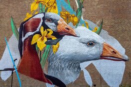 Een stralende start van het culturele seizoen tijdens UITfestival Waterland van Friesland