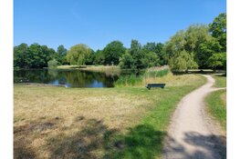 Lente Wandeltocht Sloten