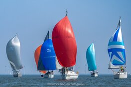 De Flevoland regatta 2024. Hou je van ZEILEN...... DOE DAN MEE!