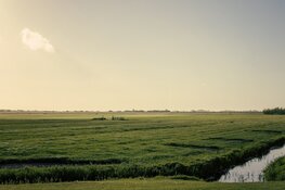 Breed gedragen compensatie-aanpak voor hogere peilen in veenweide