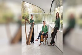 Sprankelende Ierse muziek in de Doopsgezinde Kerk in Bolsward