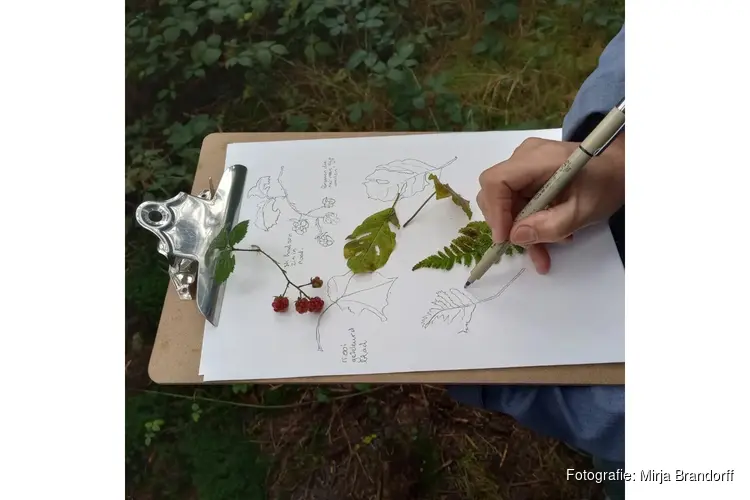 Workshop Natuurjournalen bij Museum Joure