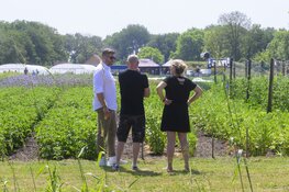 Drie sociale voedseltuinen openen hun poorten op zaterdag 28 juni