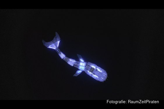 Programma WALFISK in Sneek bekend: vijf mediakunstwerken in en rond de grachten