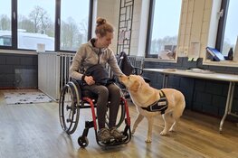 Estafettelopers sponsoren Hulphond Nederland