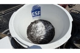 368.500 jonge palingen uitgezet in Friese wateren